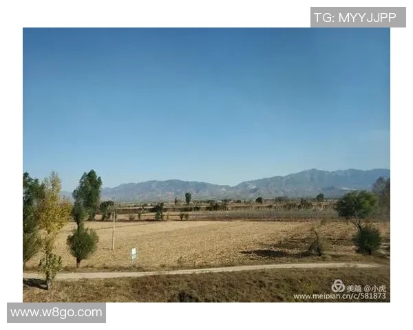 景菡一的成长之路与人生智慧探寻之旅